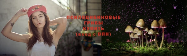крисы Балабаново