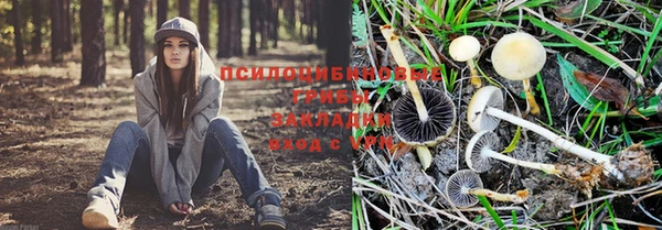 ALPHA PVP Балахна